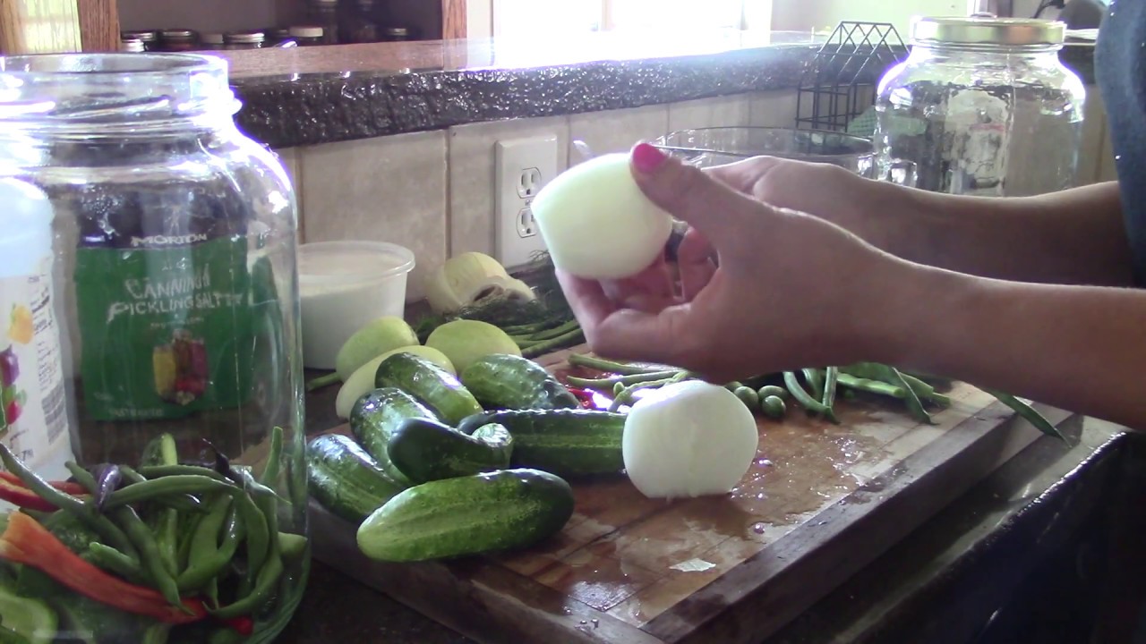Refrigerator Sunshine Dill Pickles