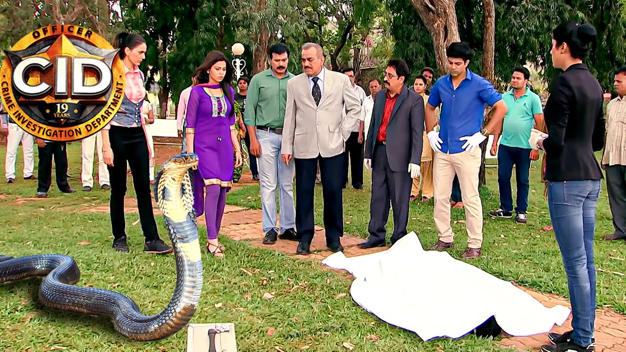 বন্য সাপকে ফাঁস করতে পারবে সিআইডি || সিআইডি CID || bengali crime series- 2024