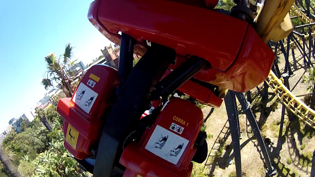 Ratanga Junction Cape Town - The Cobra