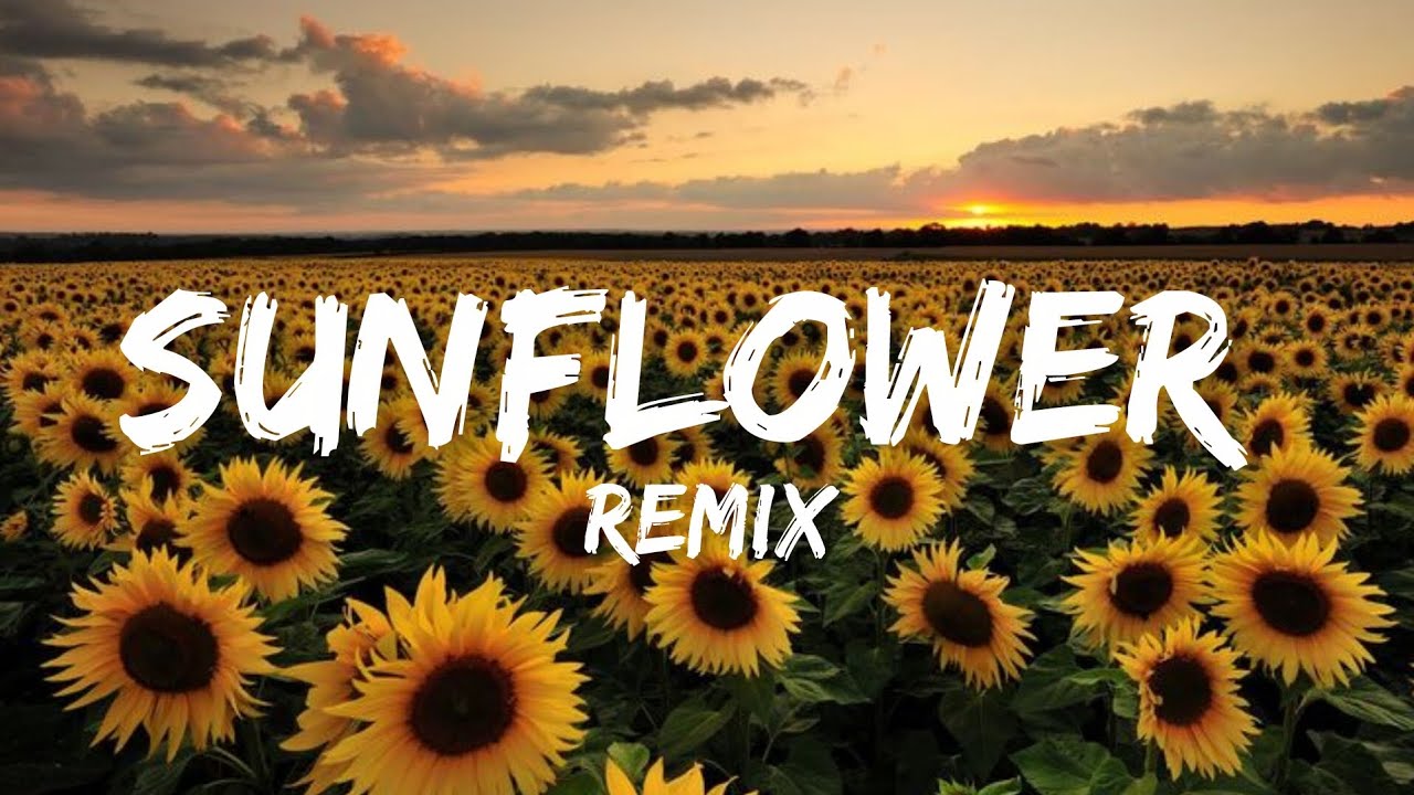 Sunflower (Remix) / Lyrics video / Song