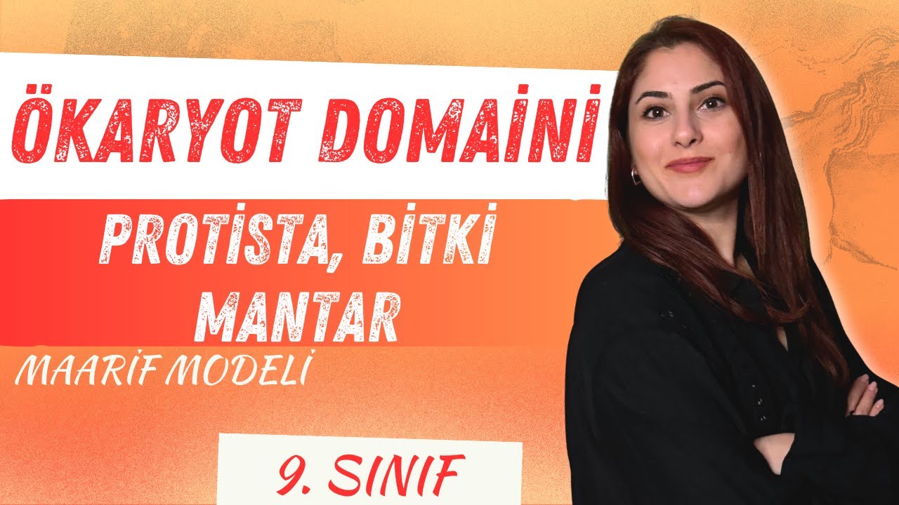 7) ÖKARYOT DOMAİNİ - PROTİSTA, BİTKİ, MANTAR - 9. SINIF BİYOLOJİ - MAARİF MODELİ