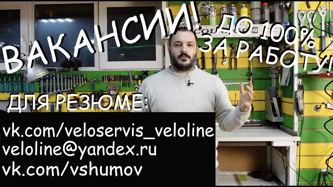 Вакансии от Veloline!