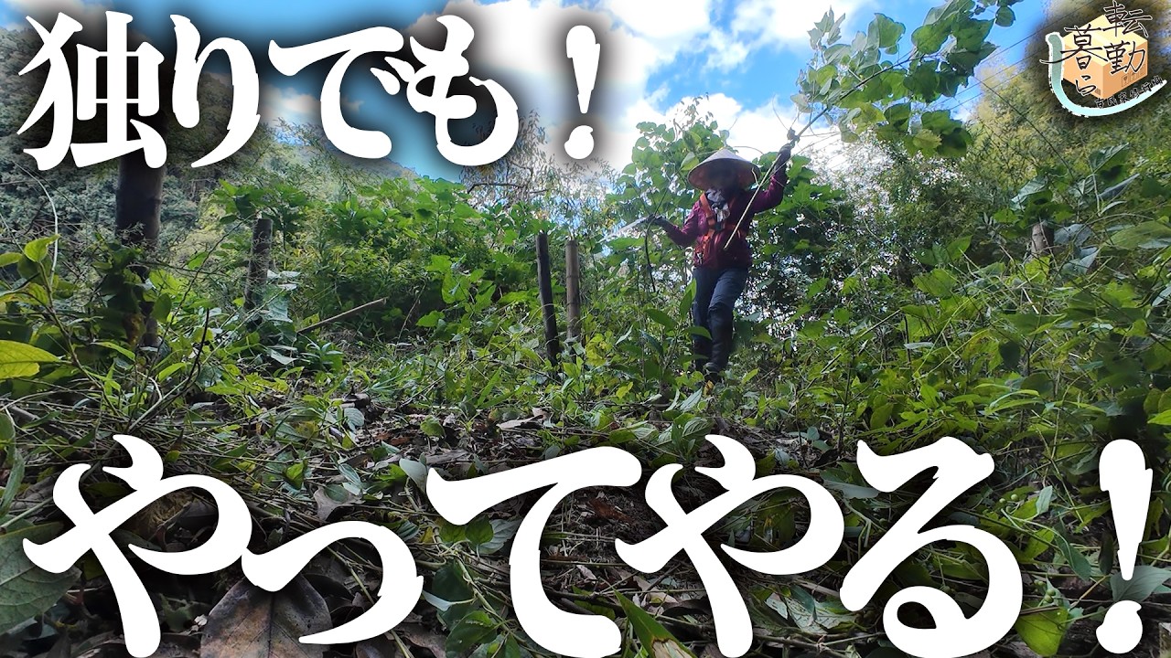 【裏山再生】半年放置した耕作放棄地を嫁一人で開拓【里山を守れ】
