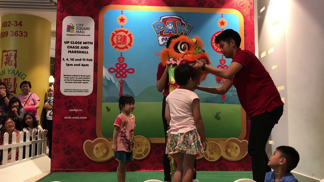 Fun with Paw Patrol at City Square Mall