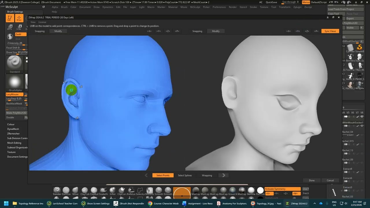 1  Zwrap Your Head Sculpt For Animation