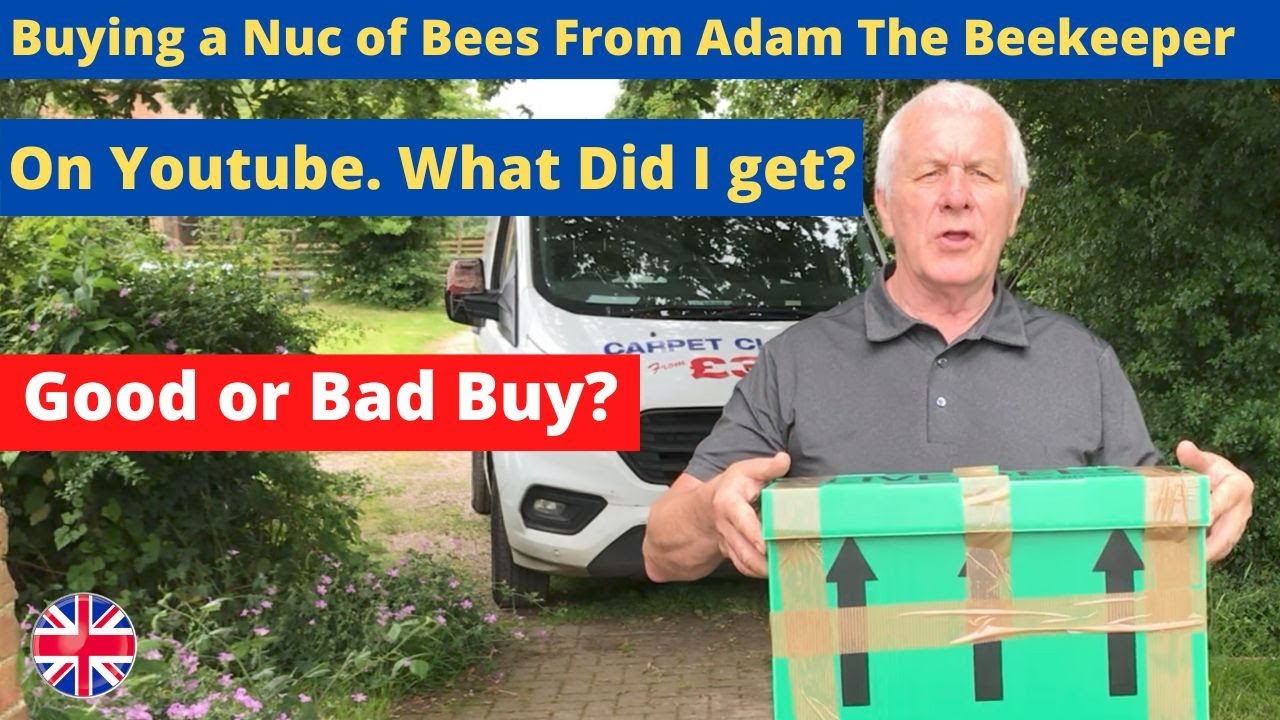 Buying a Nuc of Bees