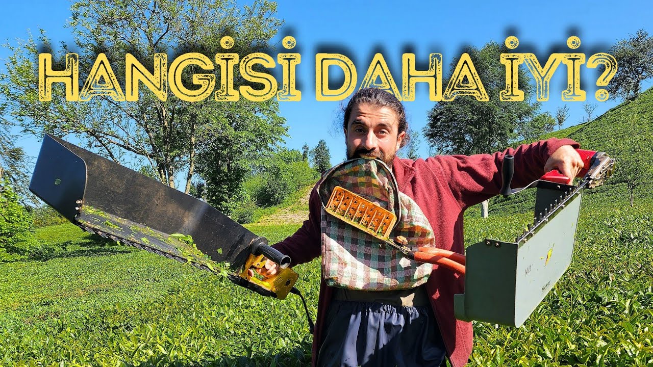 ELLE, MAKASLA, MOTORLA ÇAY TOPLAMAK! | ÇAY TOPLAMA REHBERİ