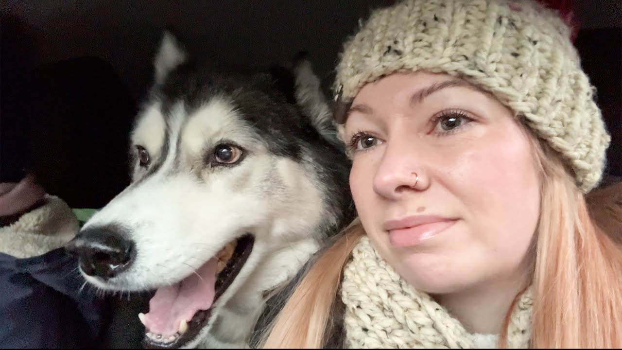 Husky b-day chaos, Unexpected Squirrel Chase & a Surprise Guest!