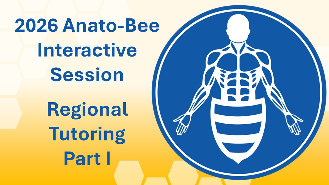 2026 Anato-Bee Interactive Session: Regional Part I