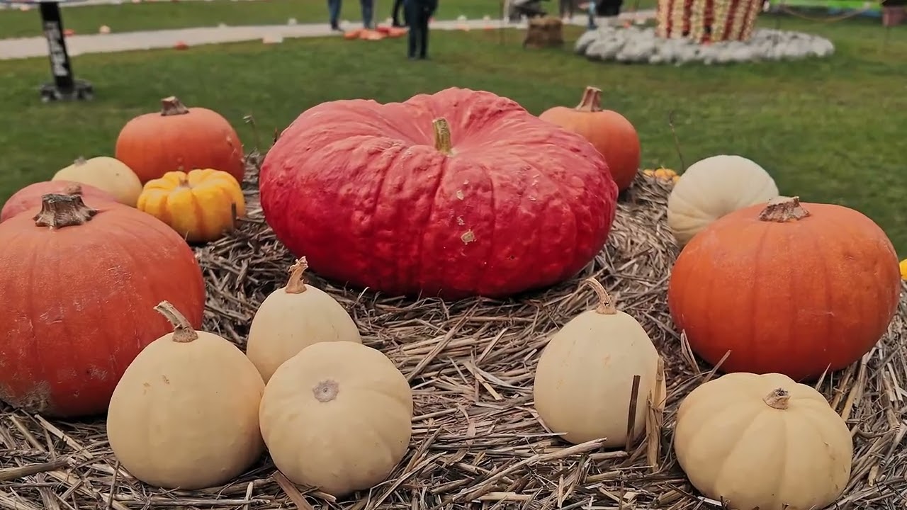 Blühendes Barock Kürbisausstellung (Pumpkin Exhibition 2025)