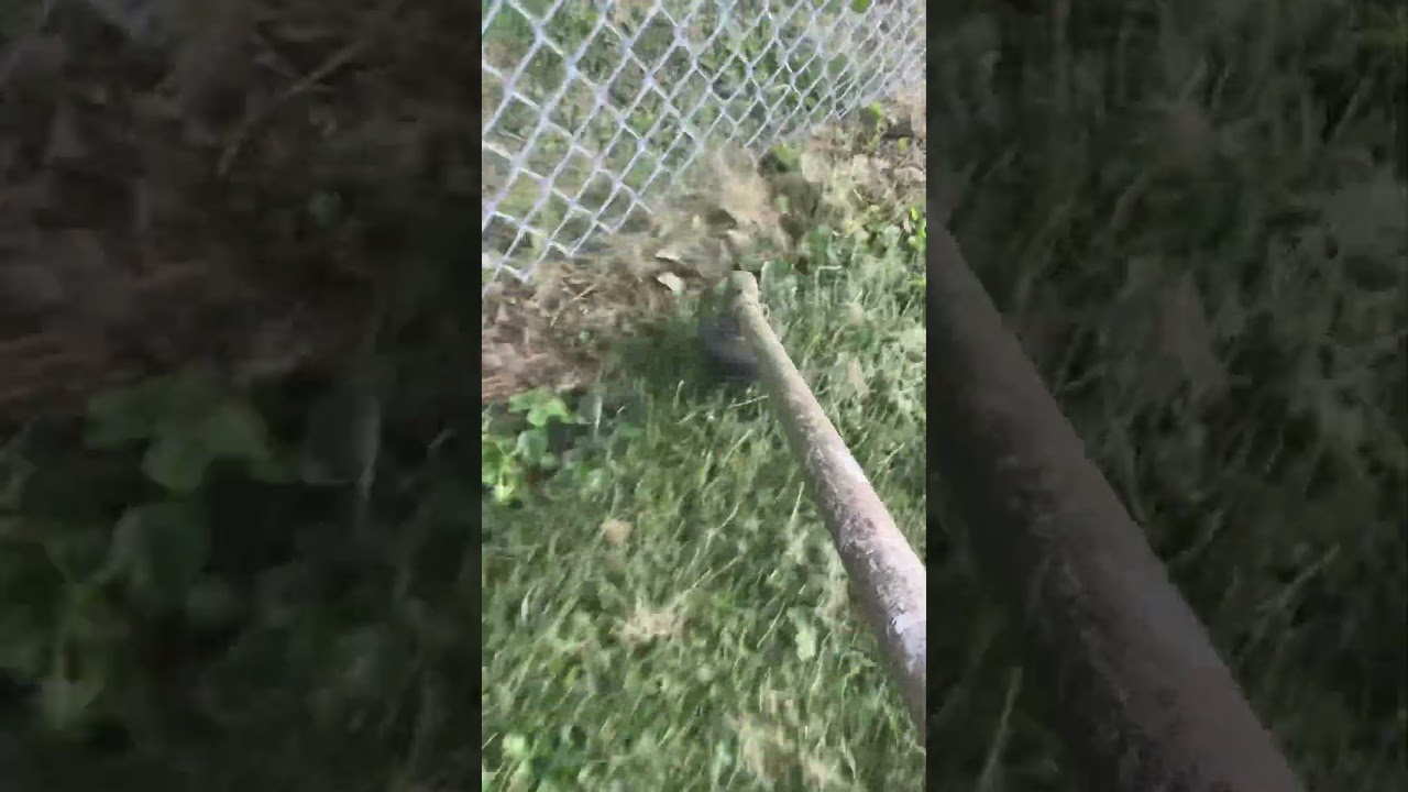 Echo 2620t String trimming POV ASMR #lawn #lawncare #lawnsolutions #lawnmowing