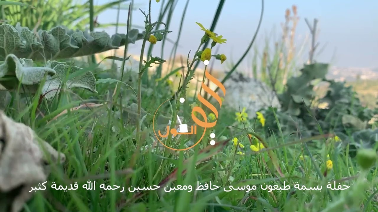 حفلة بسمة طبعون موسى حافظ ومعين حسين ايام الشباب قديمة كثير