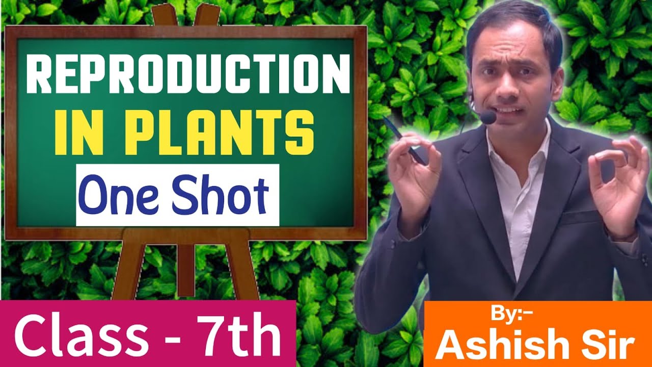 Reproduction in plants| class 7| AS Campus| One shot by Ashish Sir