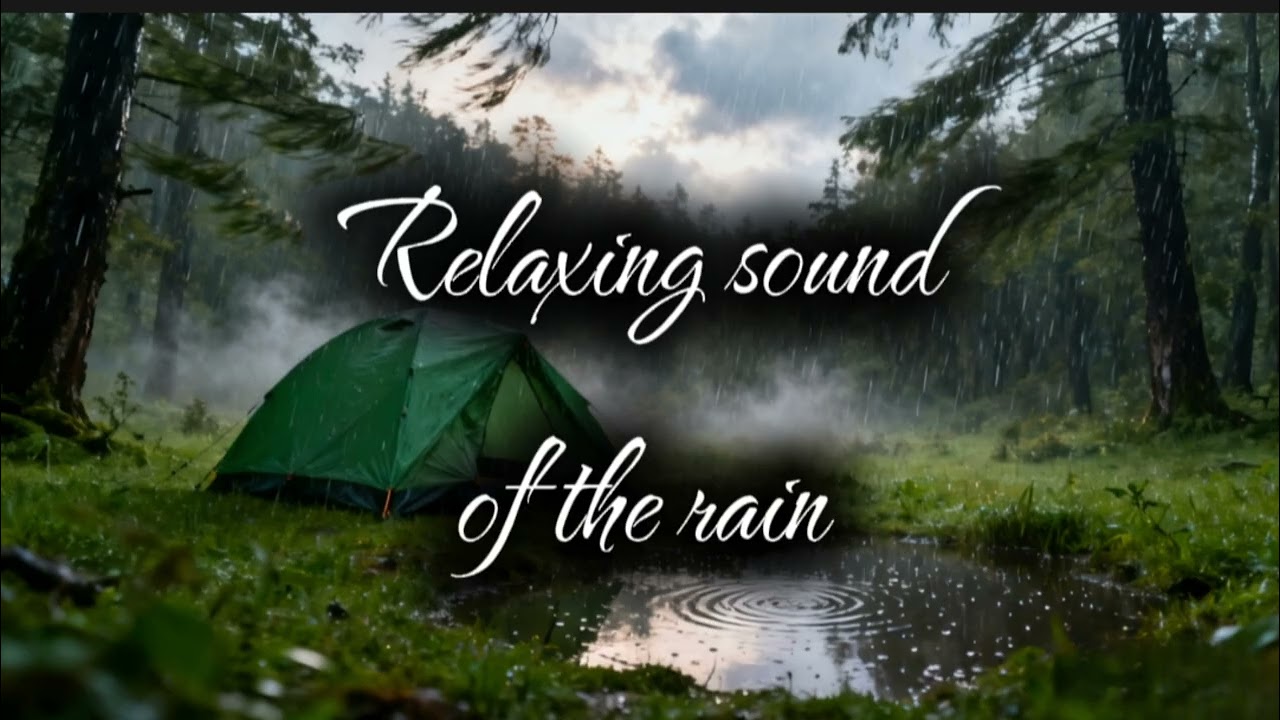 1 hour Relaxing sound of the rain for #relaxing #meditation #studying #sleeping #loverain  