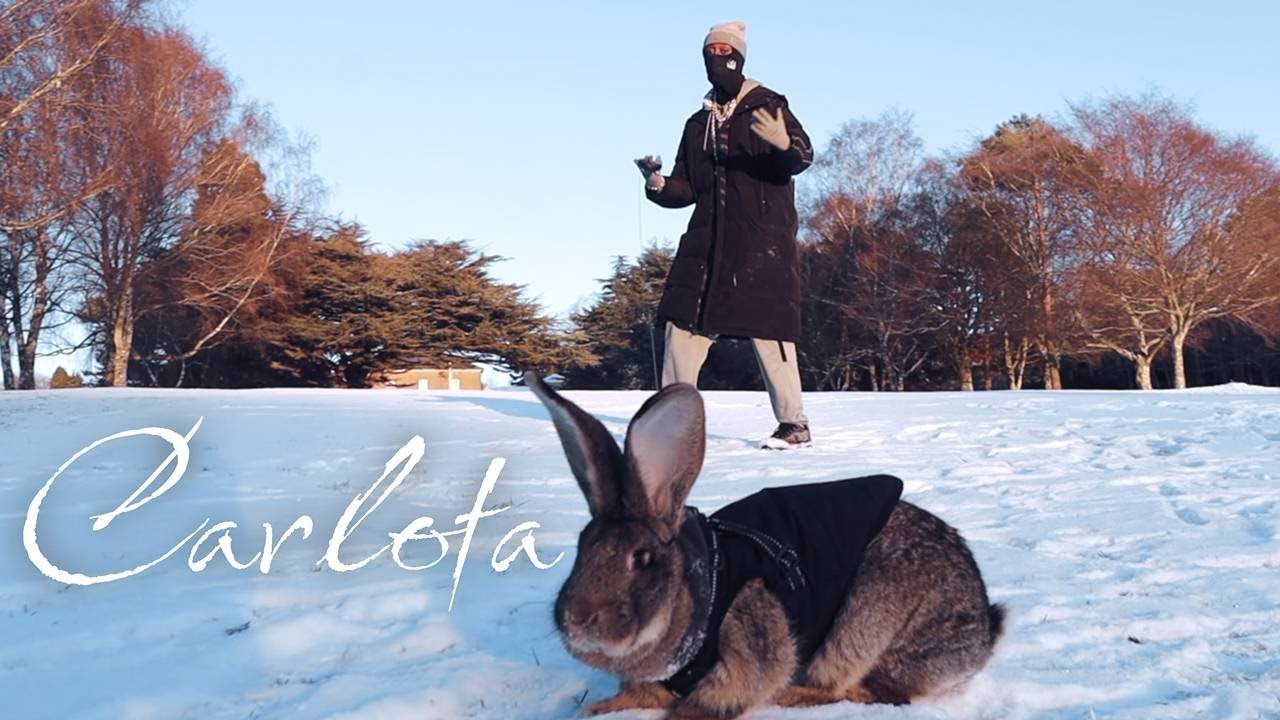 TrappLonely - Carlota (Prod. Tootonesounds)