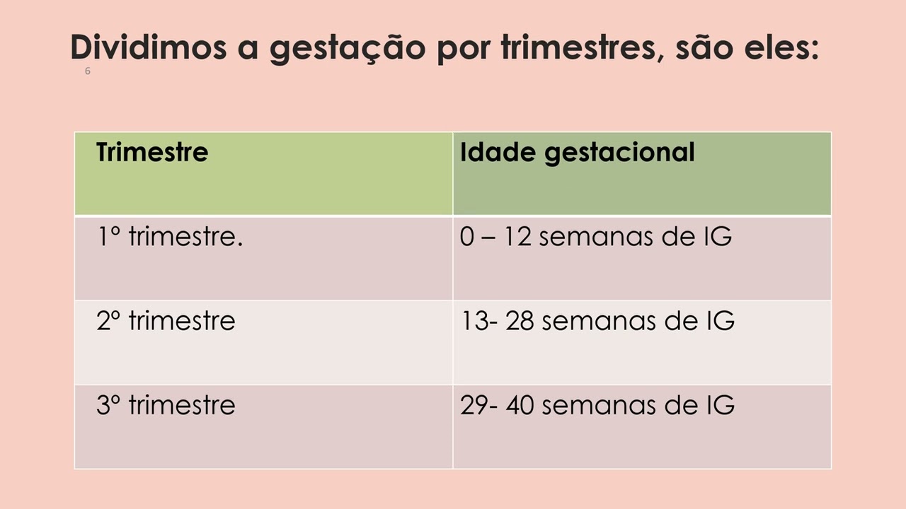 Consulta no Pré natal.