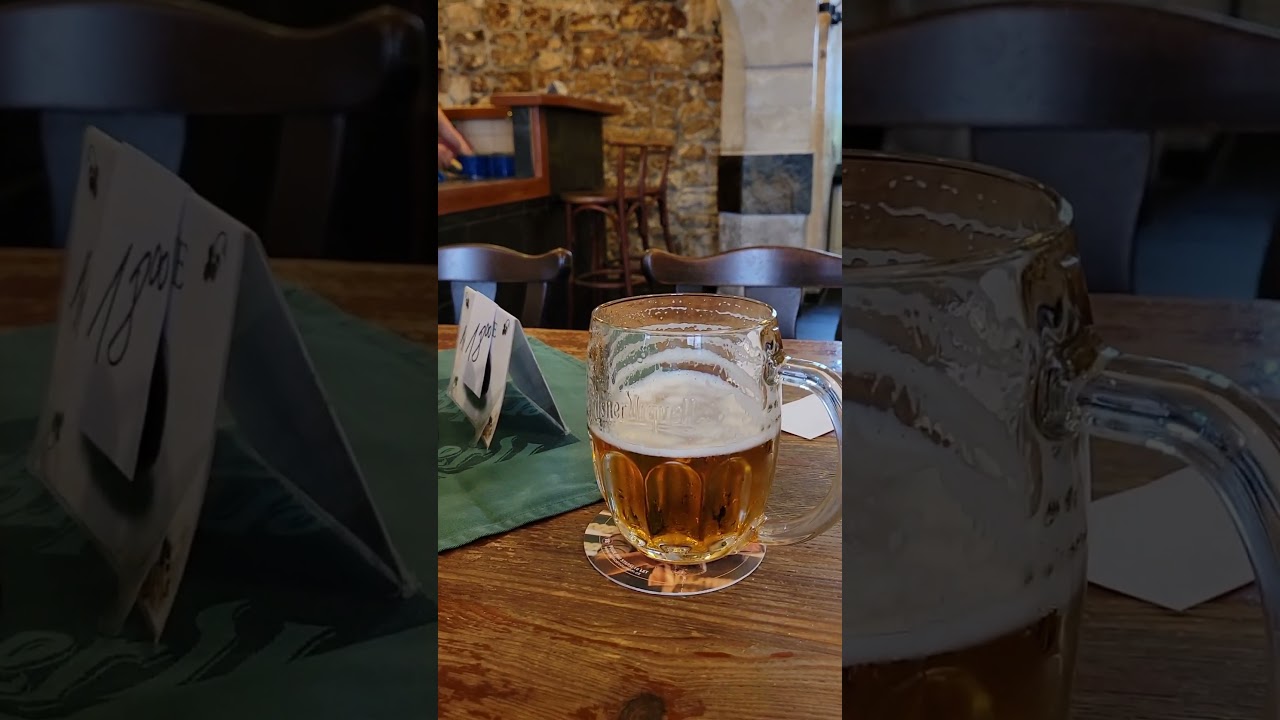 Famous Local Czech Beer Pub, U Hrocha
