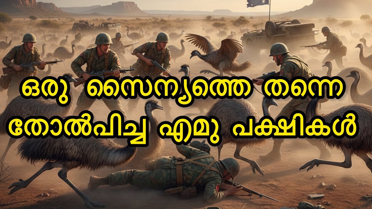 മെഷീൻ ഗണ്ണുകൾ ആയി വന്ന സൈന്യത്തെ പോലും തോൽപിച്ച എമു പക്ഷികൾ |ഇത് നടന്ന കഥ |THE GREAT EMU WAR |