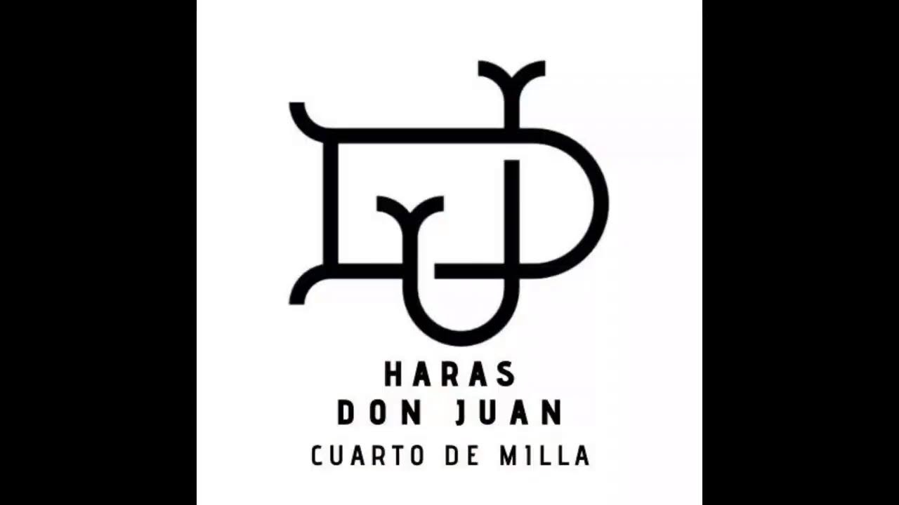 Transmisión en vivo de Prueba de Doma de Bocado o Filete