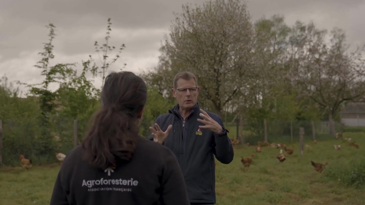 [Agroforesterie & parcours volailles] Une solution pour relever les enjeux de la filière avicole 3/3