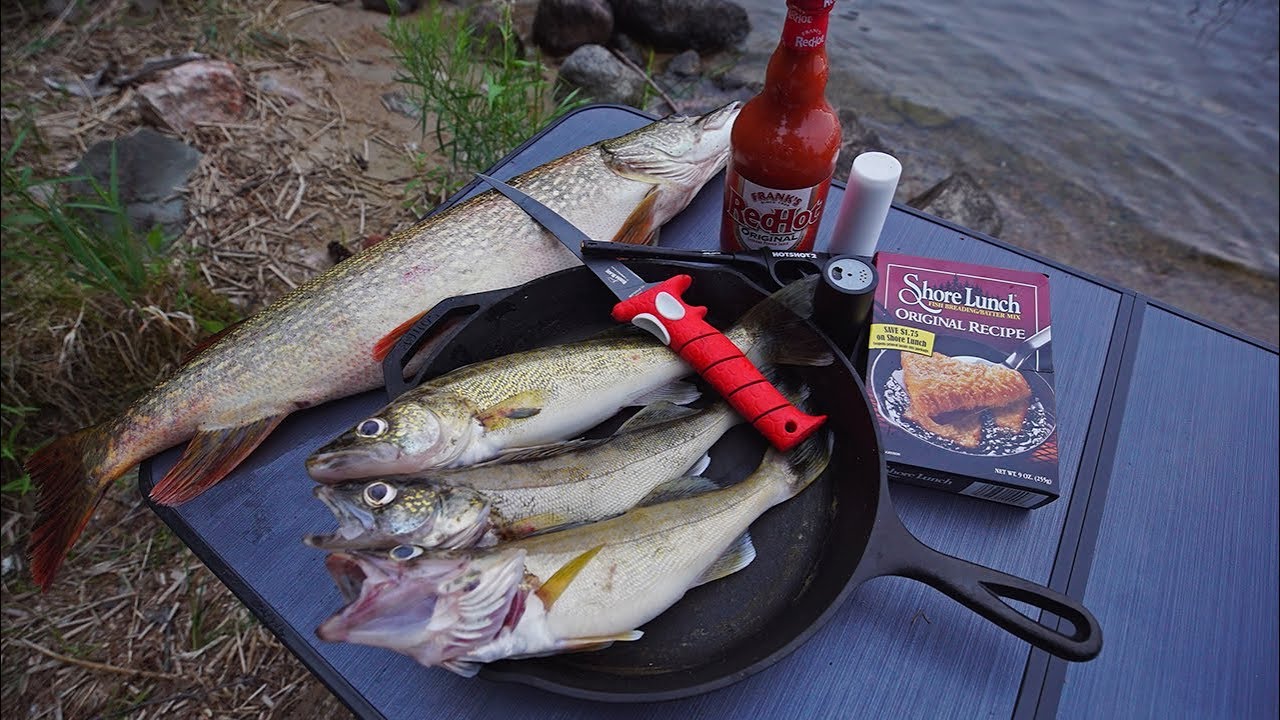 We Predicted This Would Happen! (Campfire Cook)