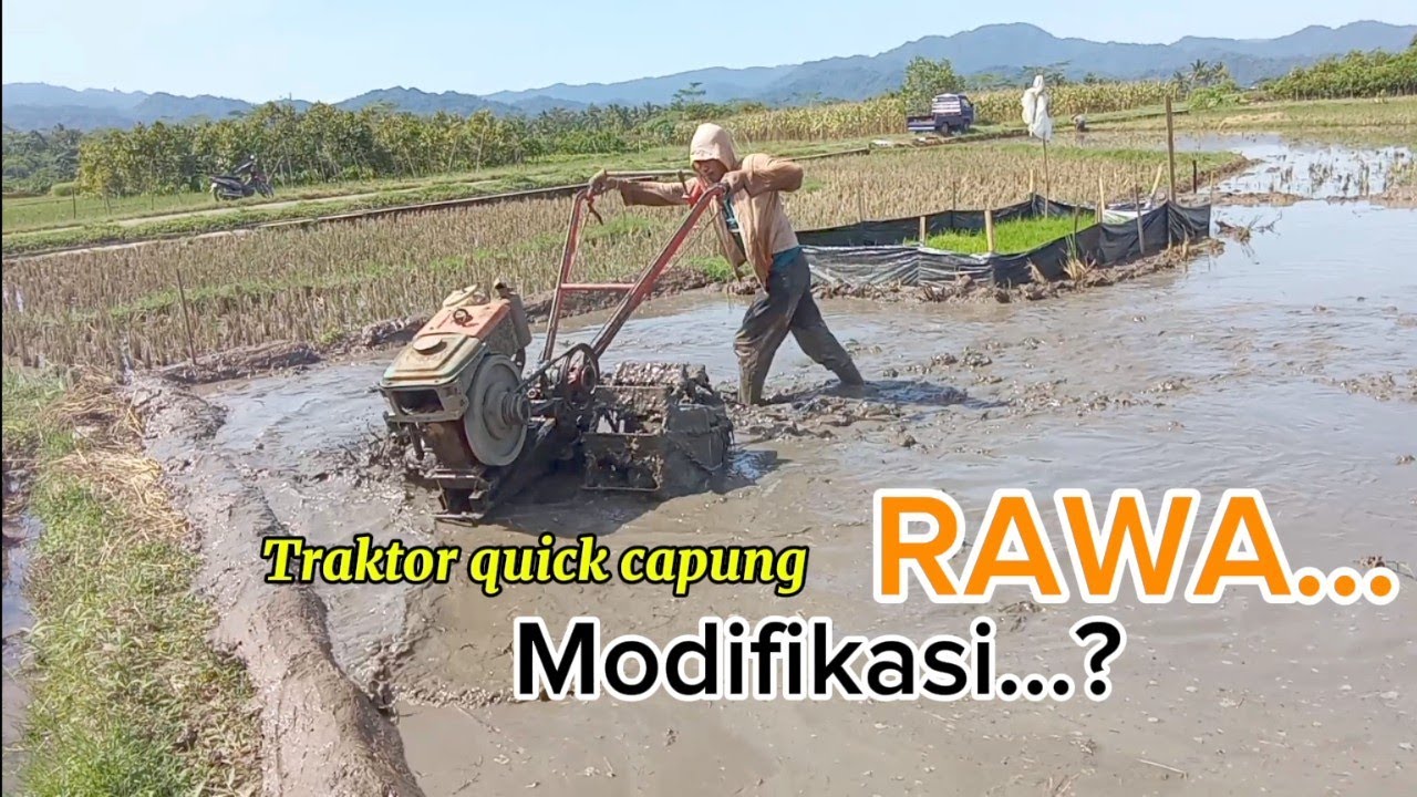 Traktor sawah capung Rawa?