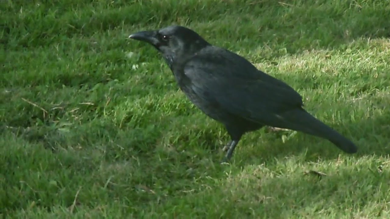 P1010172