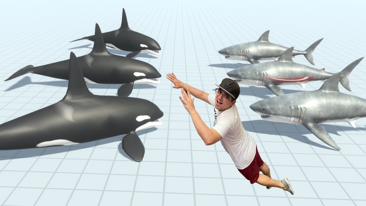 BATALHA DE ANIMAIS AQUÁTICOS!! (BALEIA ORCA vs TUBARÃO) - Animal Revolt Battle Simulator