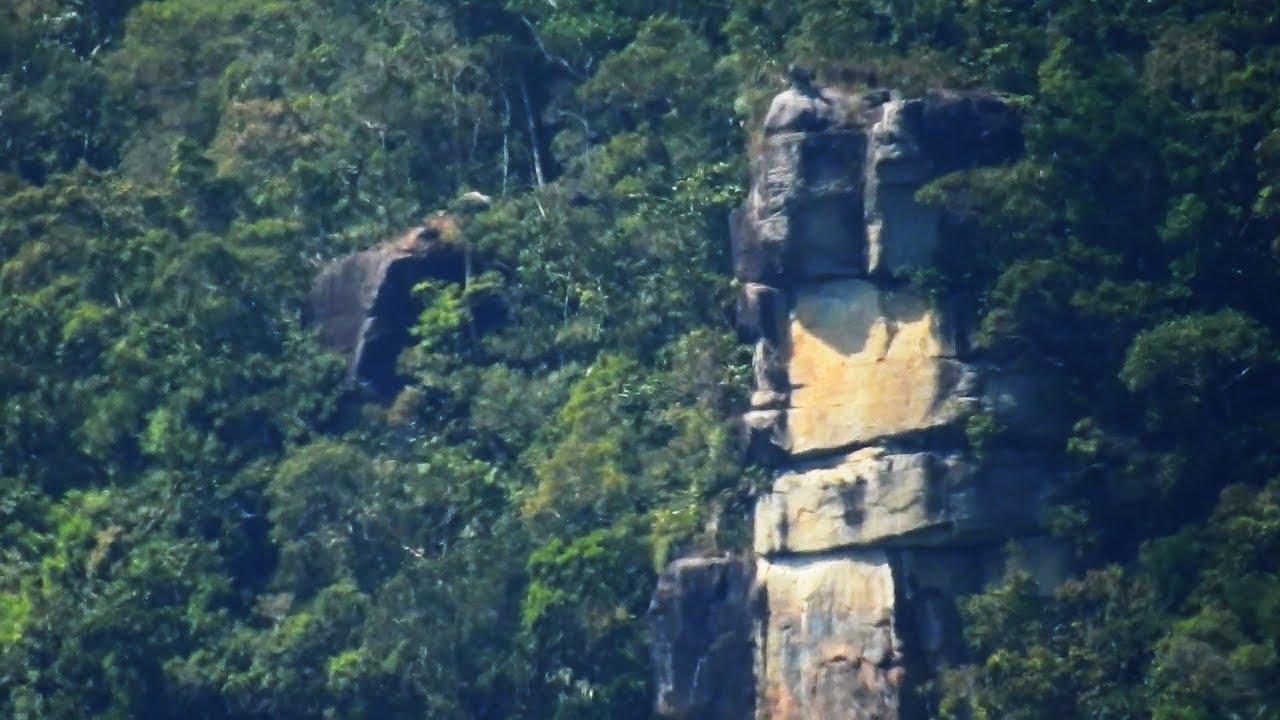 Huy Đức  Đạp Núi Đi Tìm Trầm vùng núi Ông, Núi Chì  đuôi Nam Trường Sơn