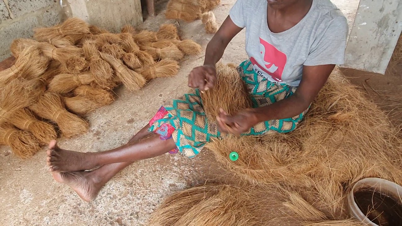 Srilanka Coconut Fiber Industry How Bristle Fiber 2 Tie Production