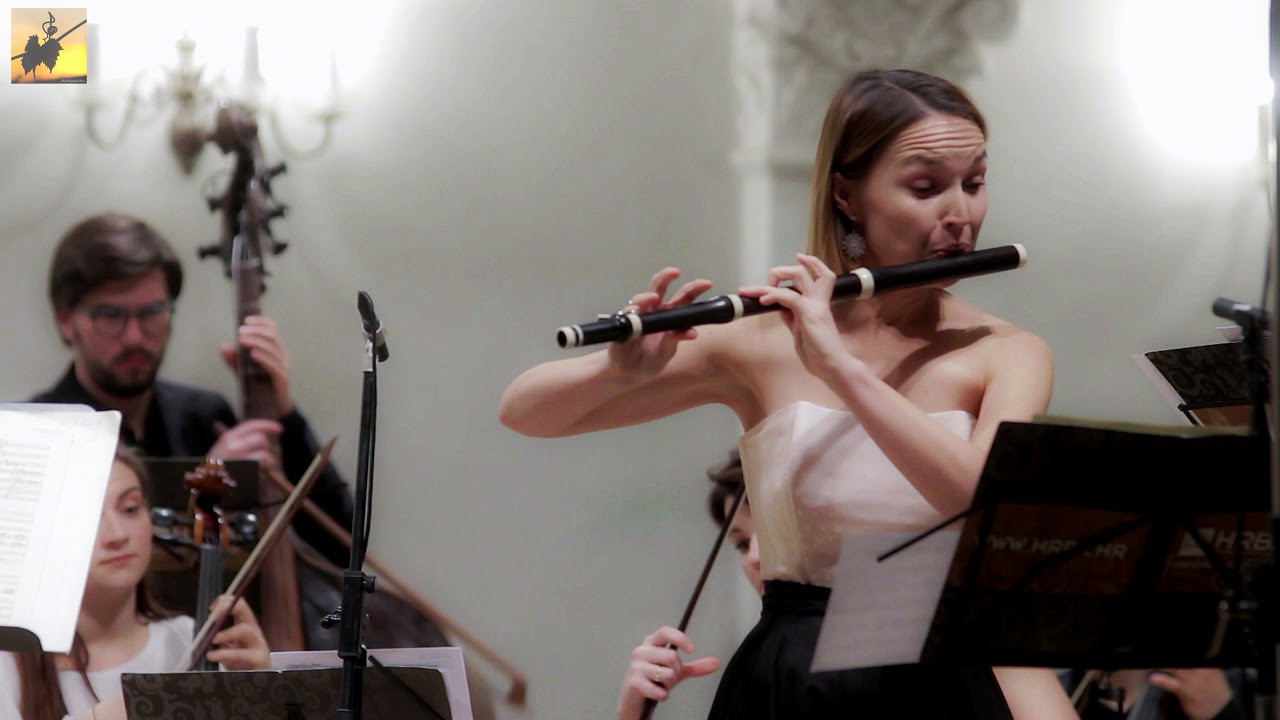 W. A. Mozart - Andante for Flute and Orchestra in C major KV. 315