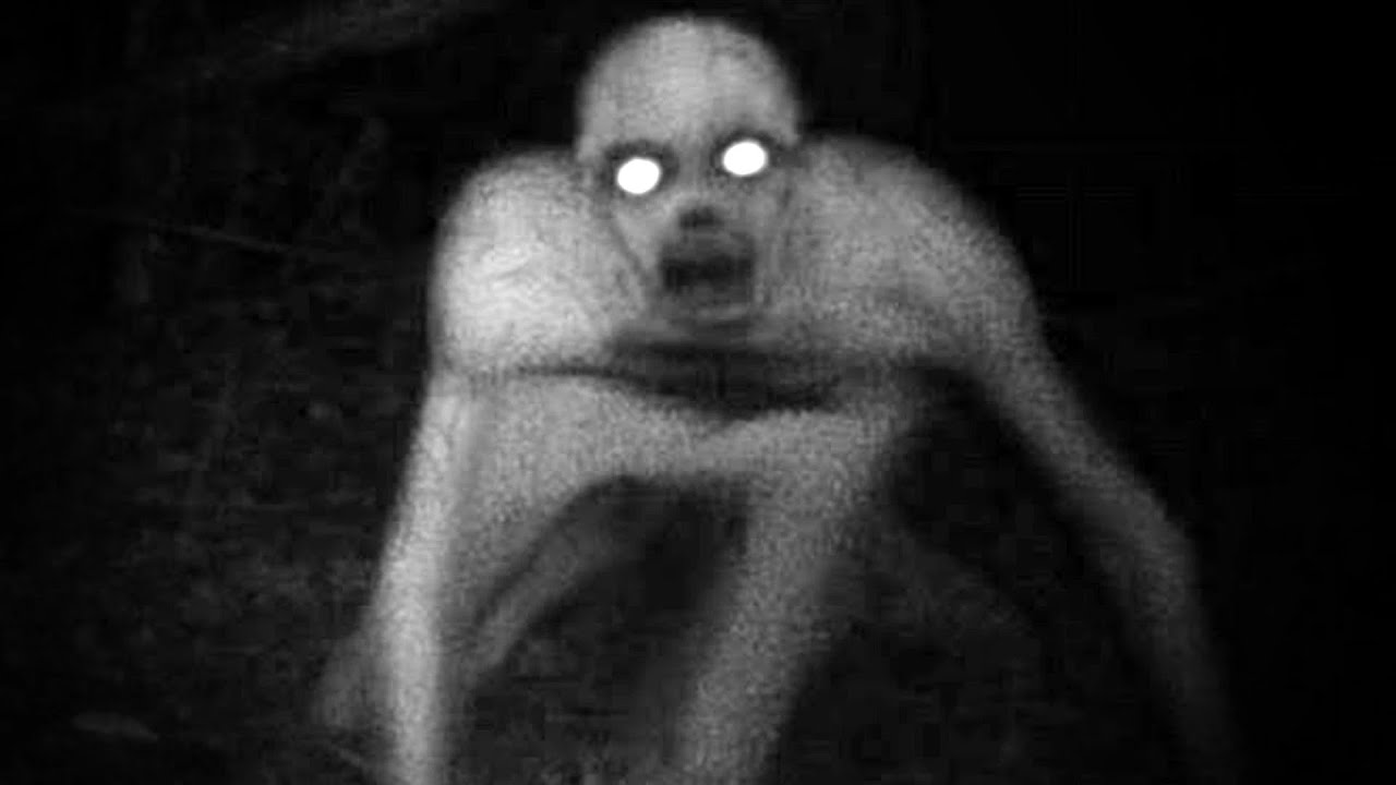 👹 POLOWANIE NA RAKE 👹