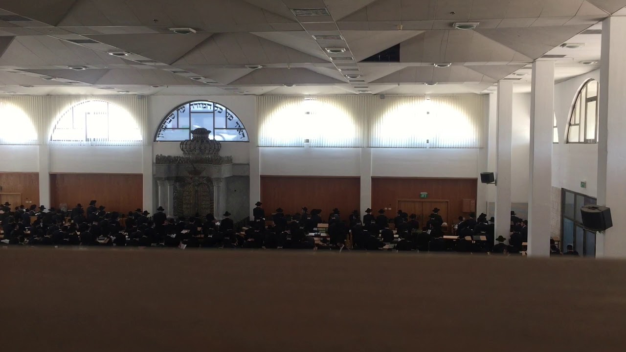 ישיבת חברון - אלי ציון     Chevron Yeshiva -  Eli Tzion