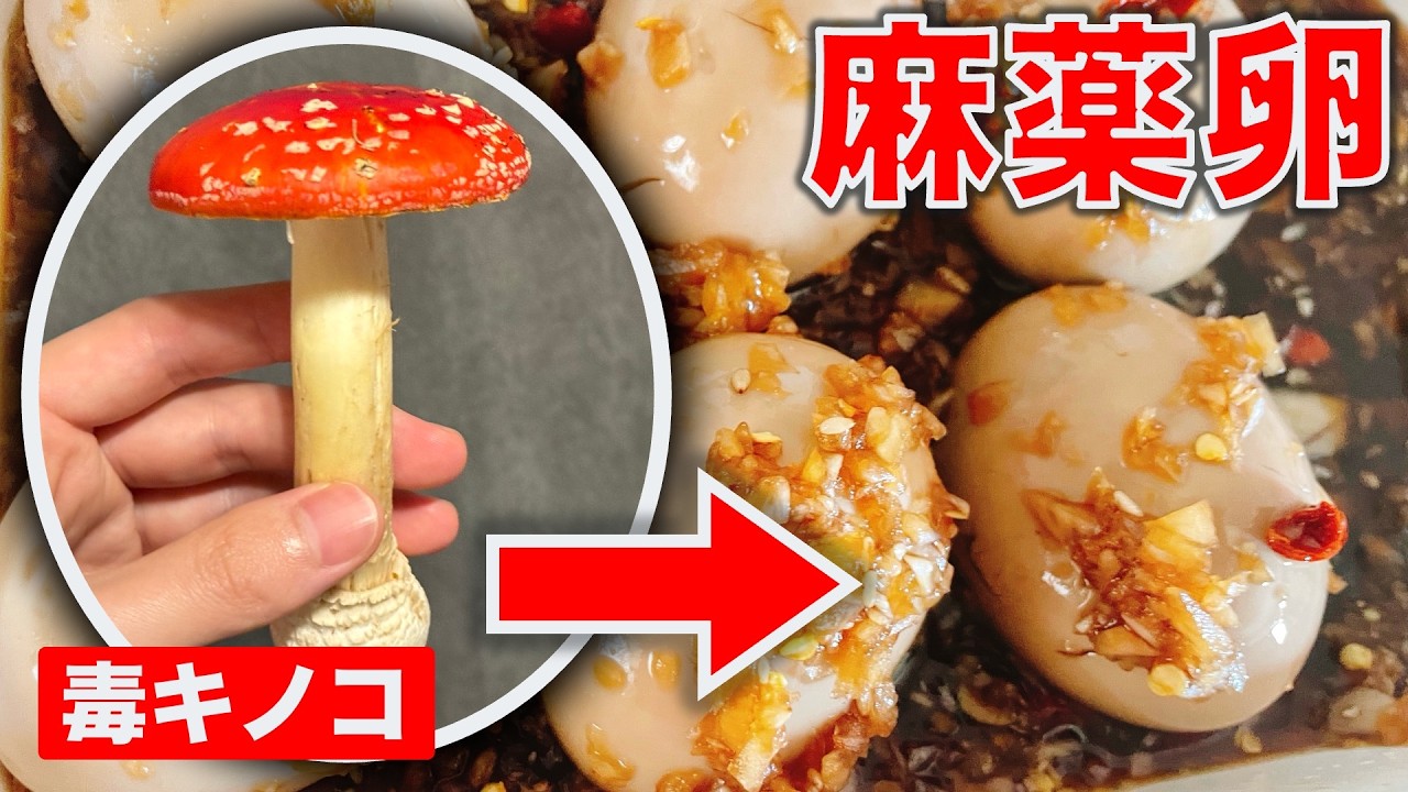 【毒きのこ】本当にイケない食材で麻薬卵を作ってみた