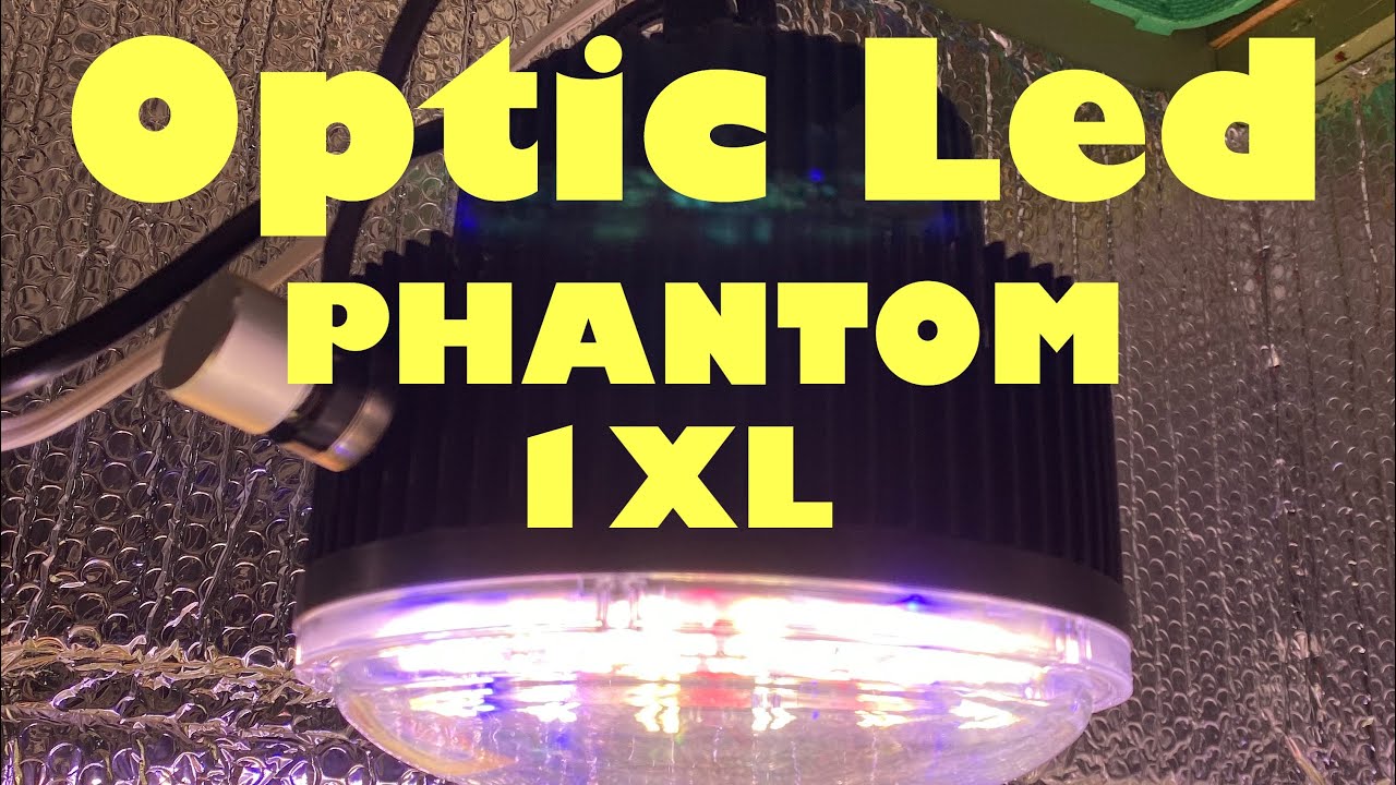 Optic Led phantom 1XL - I am making the switch to Optic.