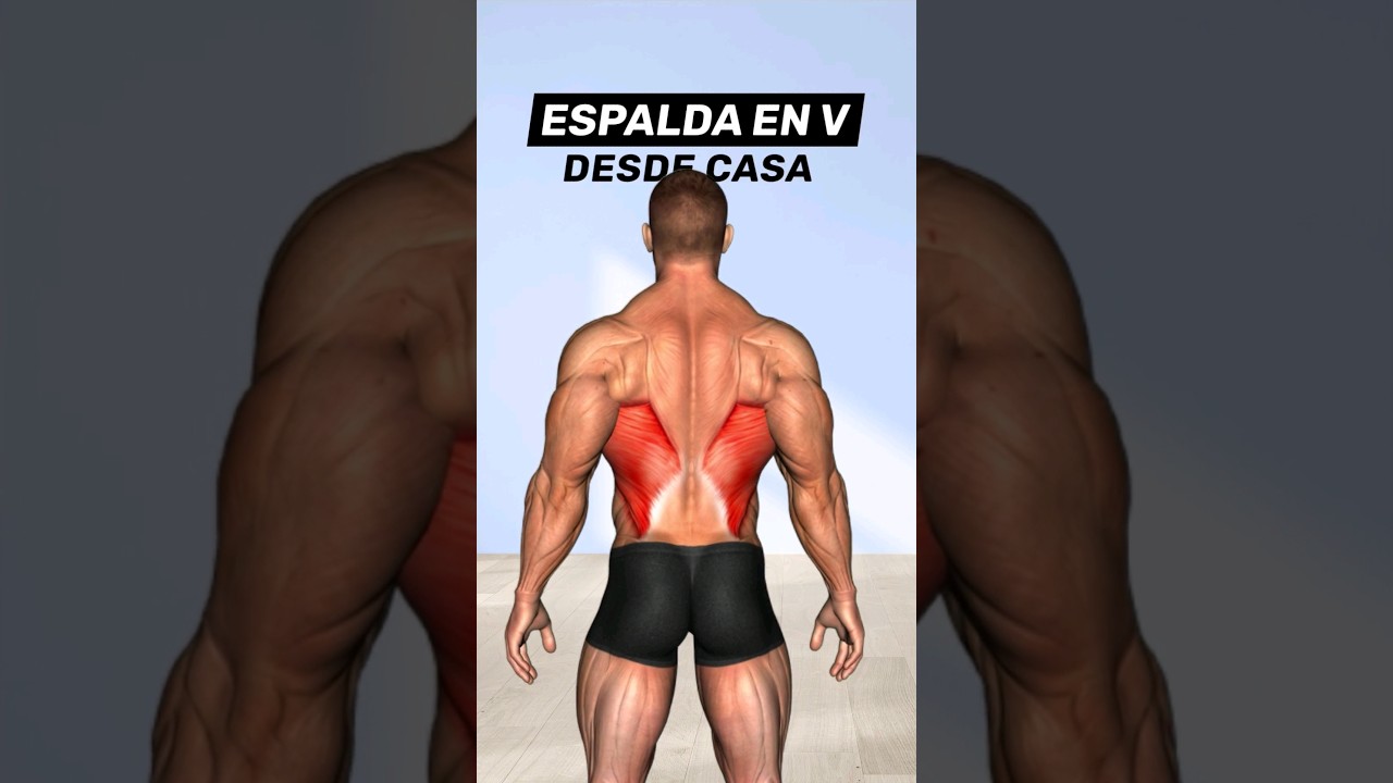 Mejor rutina de ESPALDA & HOMBROS con mancuernas. ✅️ #fitness #ejercicio #mancuernas