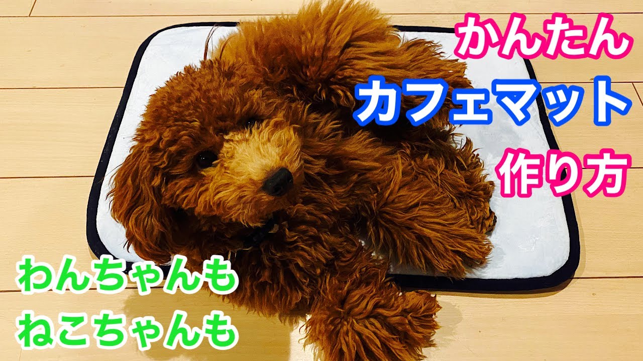 【カフェマット】ワンちゃん・ねこちゃん用カフェマットの作り方