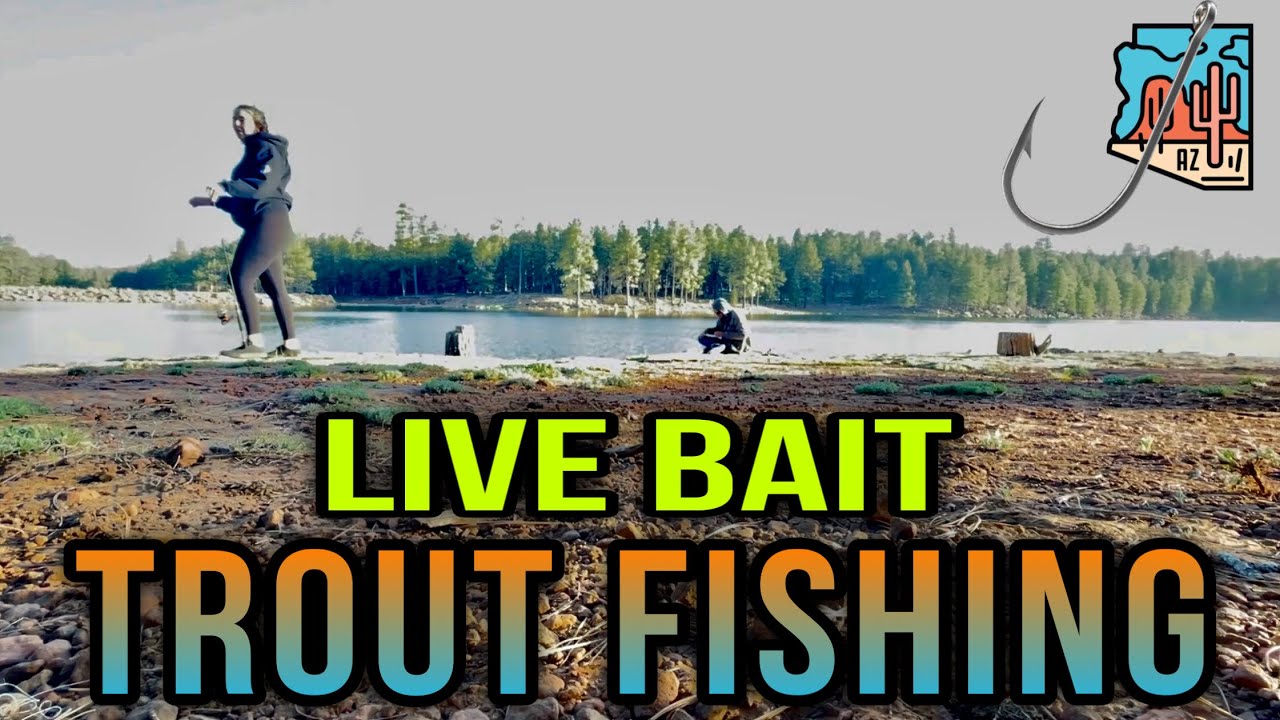 Arizona TROUT Fishing!! Woods Canyon Lake Arizona Adventure