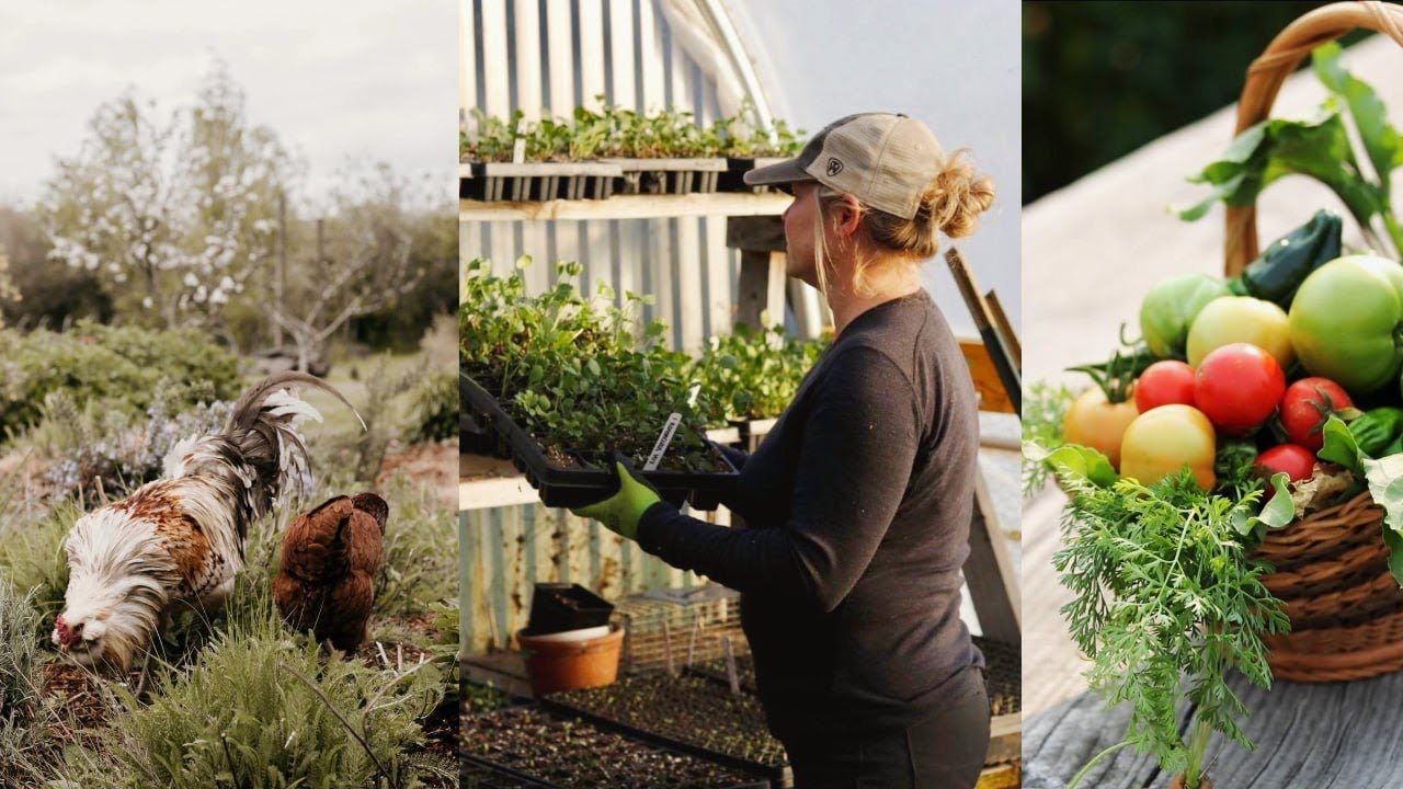 Self-Sufficiency Tips Passed On | Lessons I've Learned  | Preparing The Homestead For Winter