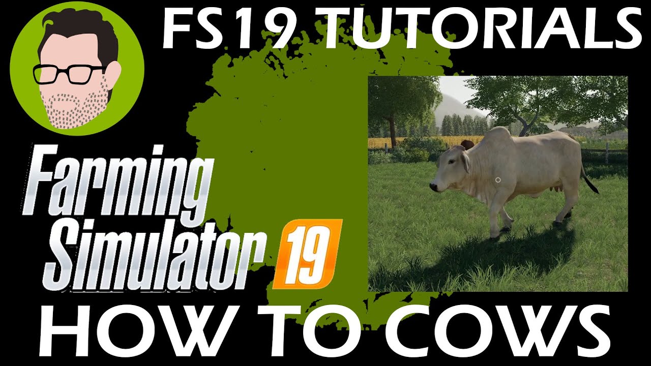 COWS HOW TO | FS19 | Farming Simulator 19