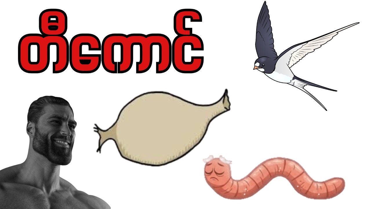 သင်တီကောင်ဖြစ်သောအခါ : Life as a Earthworm