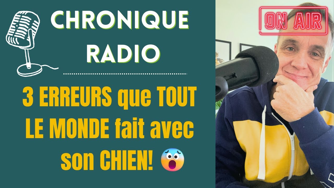 🎙️ Trois choses que TOUT LE MONDE fait avec son 🐶 CHIEN… mais qu’il ne 🚫 DEVRAIT pas faire