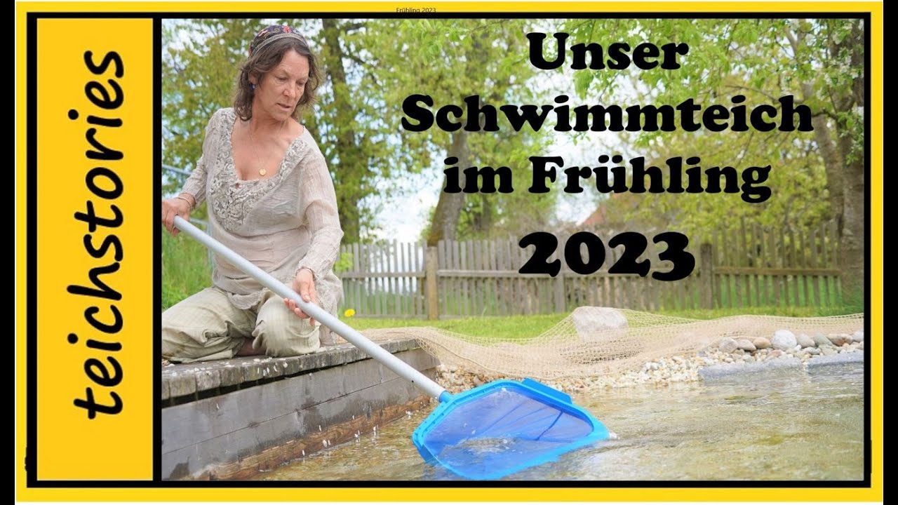 Blütensturm auf unserm Schwimmteich