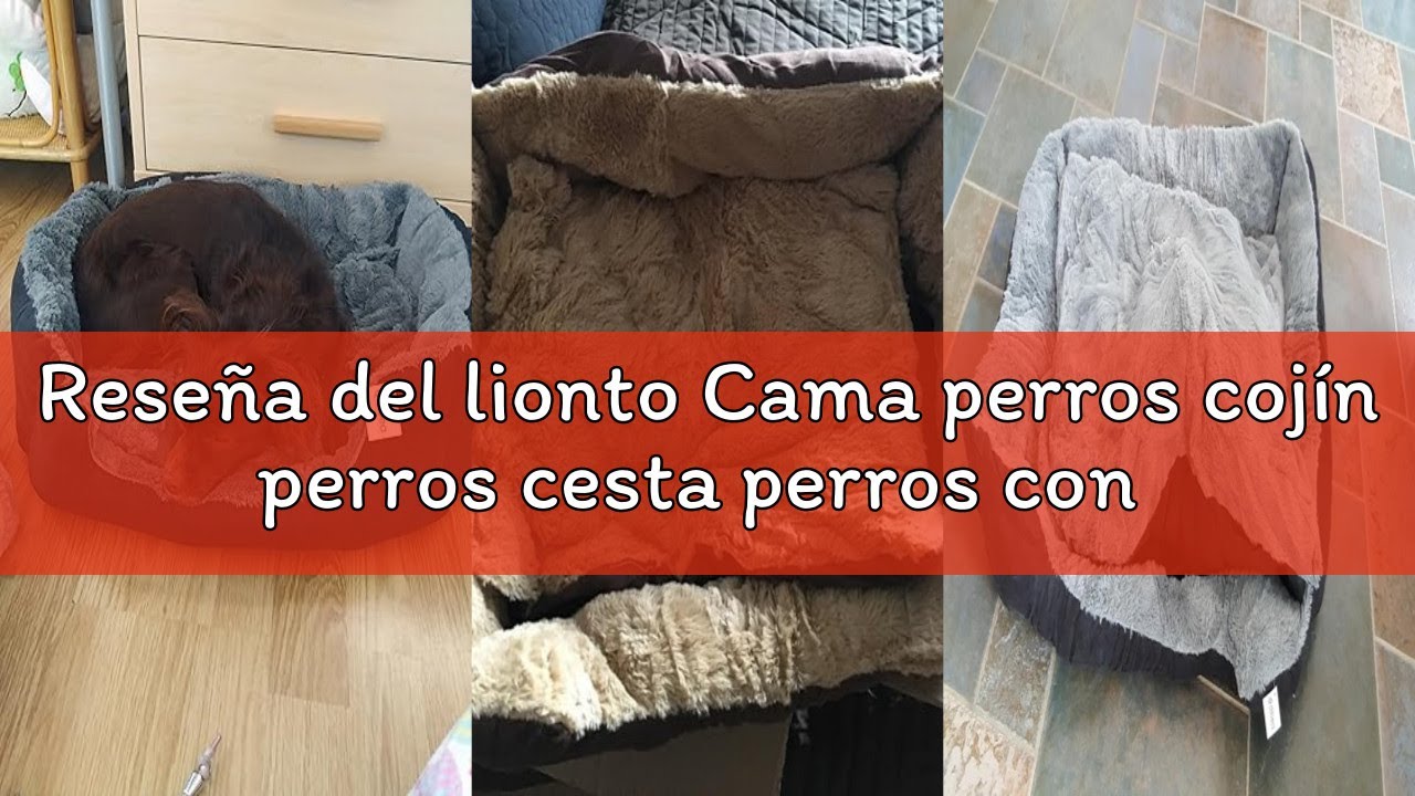 Reseña del lionto Cama perros cojín perros cesta perros con cojín tamaño (S) 50x37 cm gris/negro