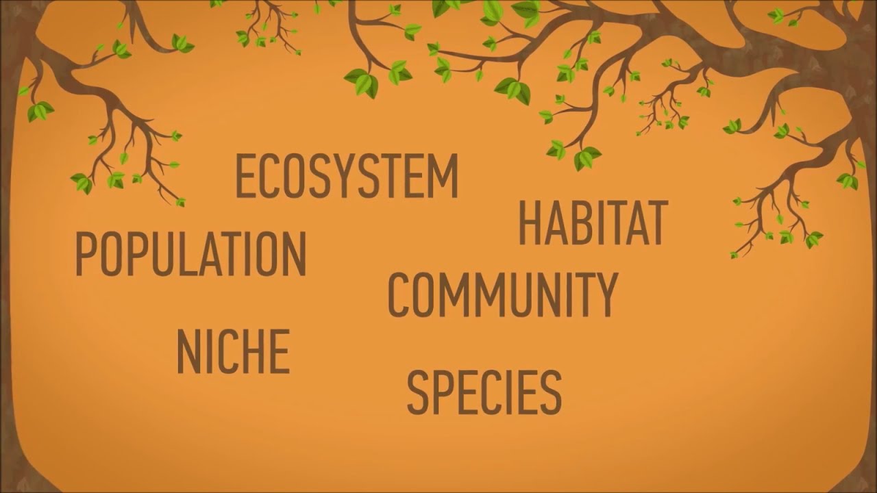 Glossary of ecological terms - WELS (Waterpedia Environmental Learning Series)