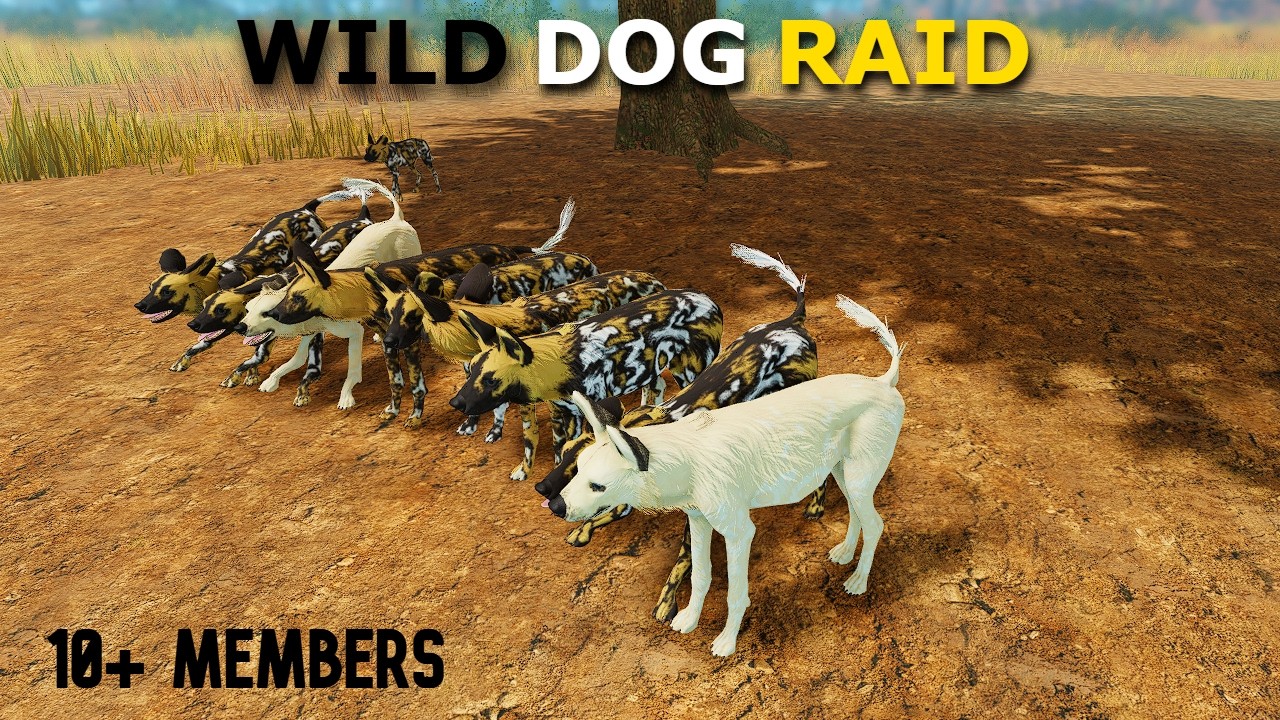 Roblox WON - Wild dog remodel + raid