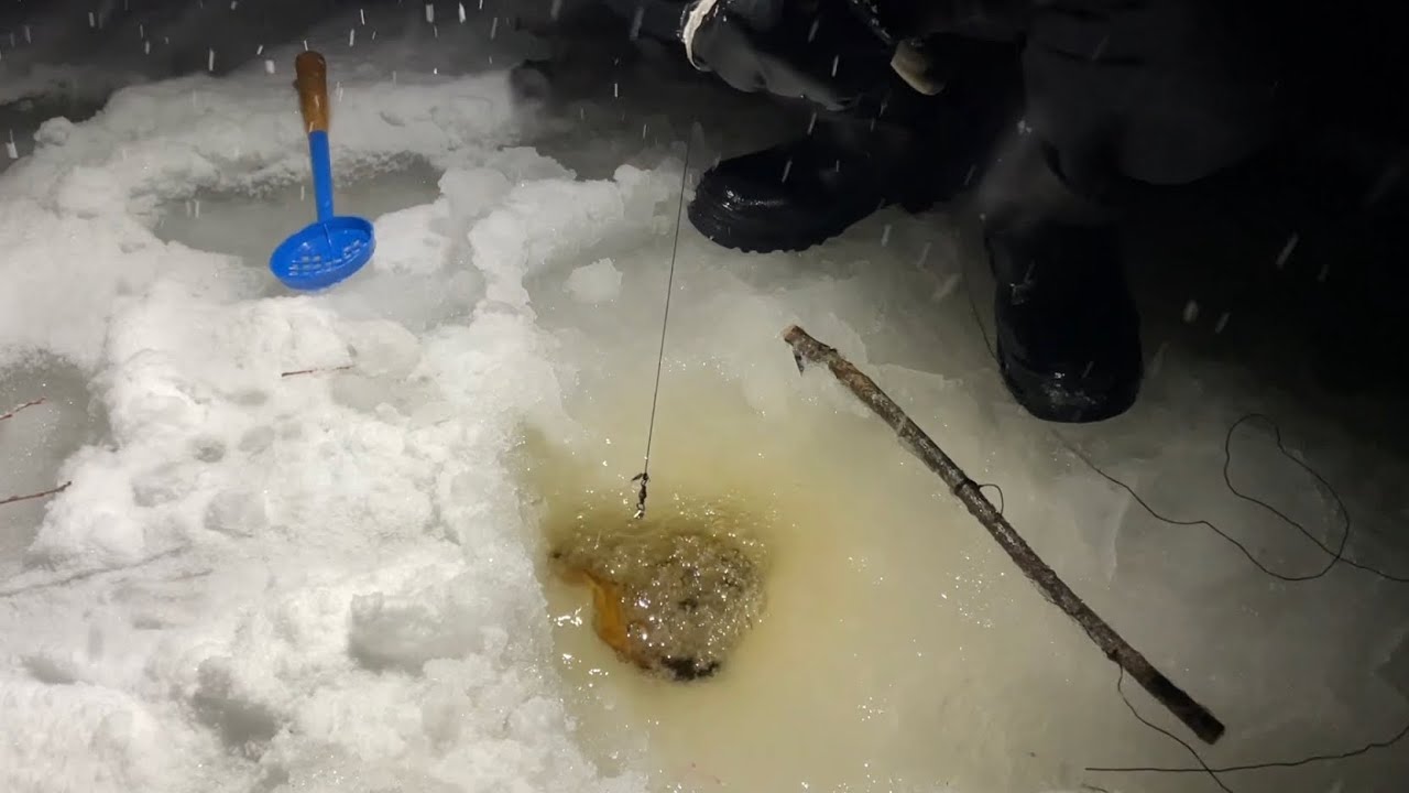 Mökkeily sai ikävän käänteen ja iskukoukut kokemaan