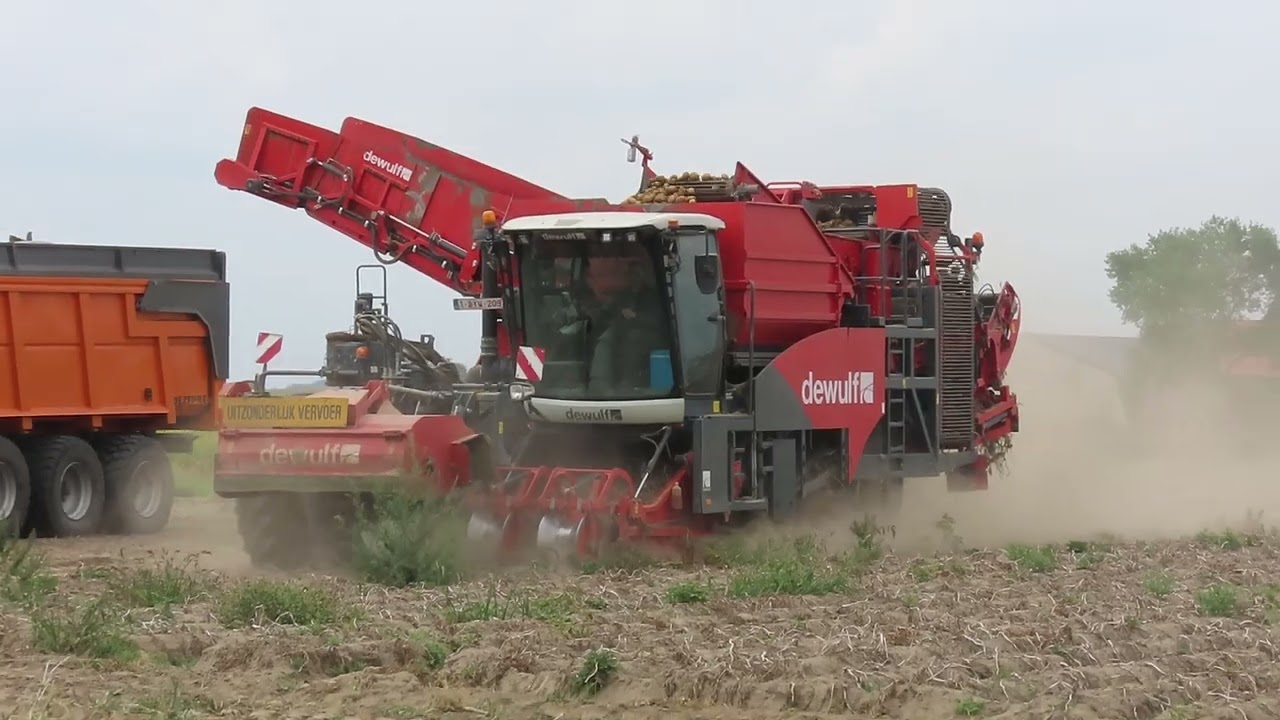 Vandevyvere: Aardappel rooien.