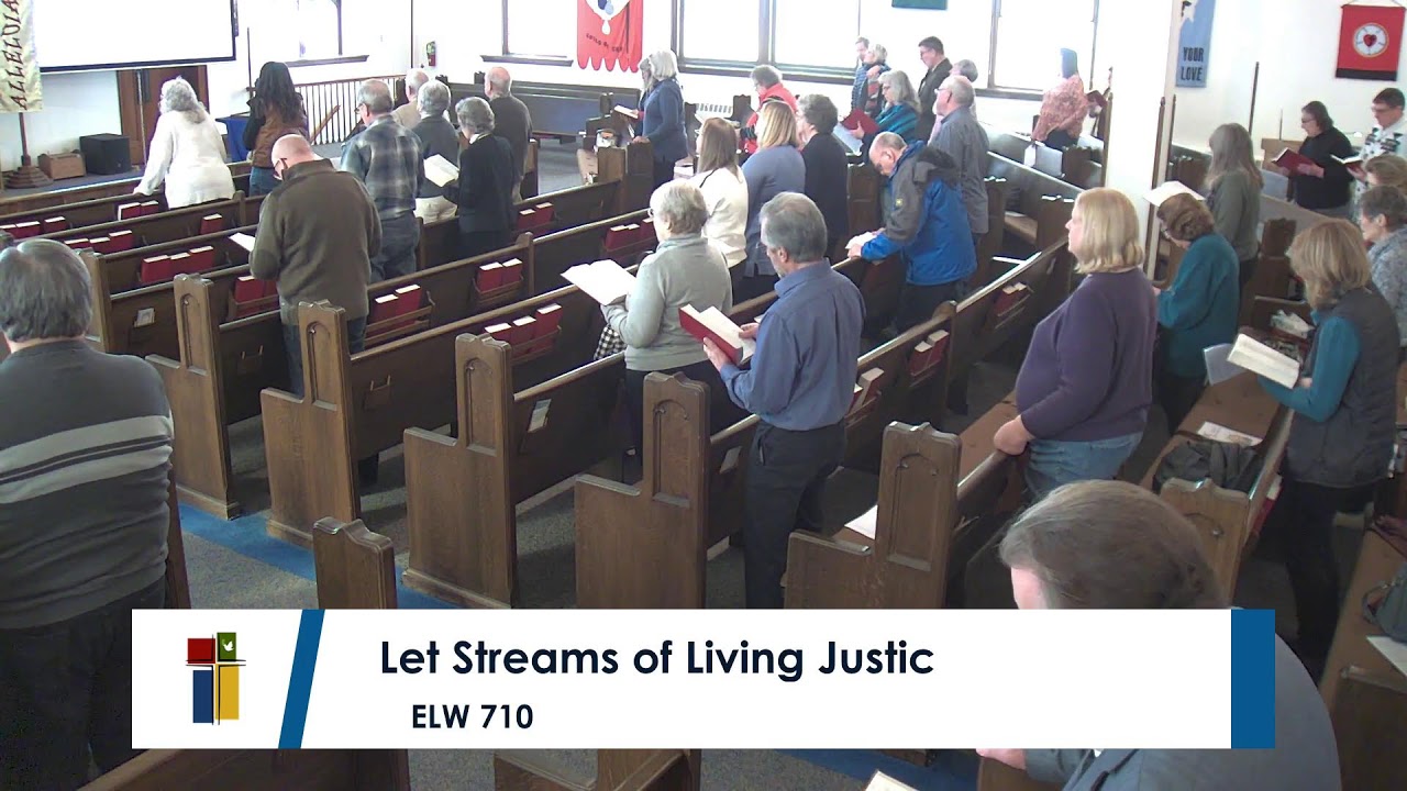 Live Stream