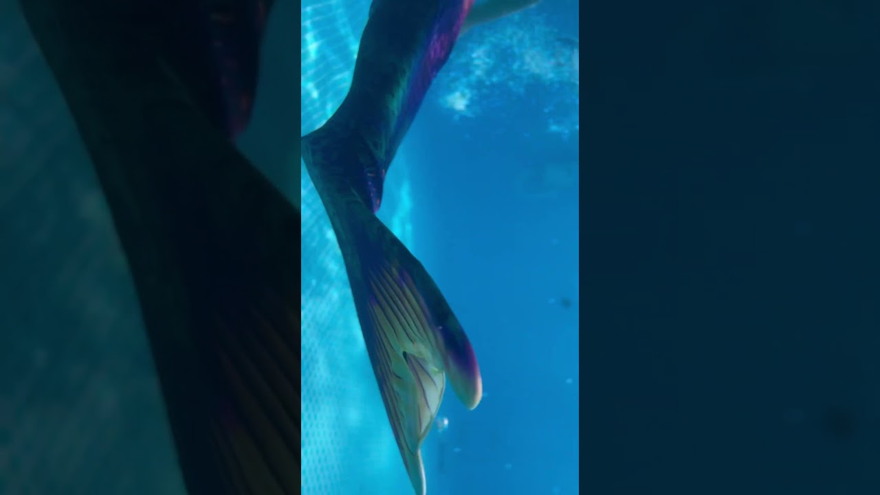 #finfunmermaid riptide Atlantis tail